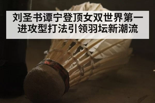 刘圣书谭宁登顶女双世界第一进攻型打法引领羽坛新潮流