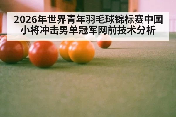 2026年世界青年羽毛球锦标赛中国小将冲击男单冠军网前技术分析